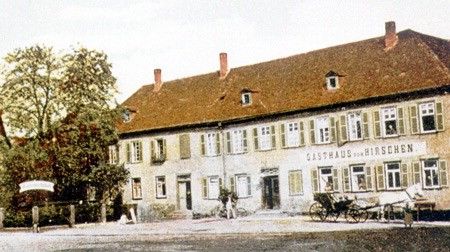 hirschen