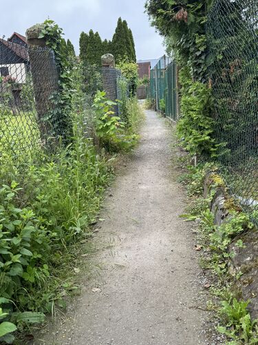 Hecke
